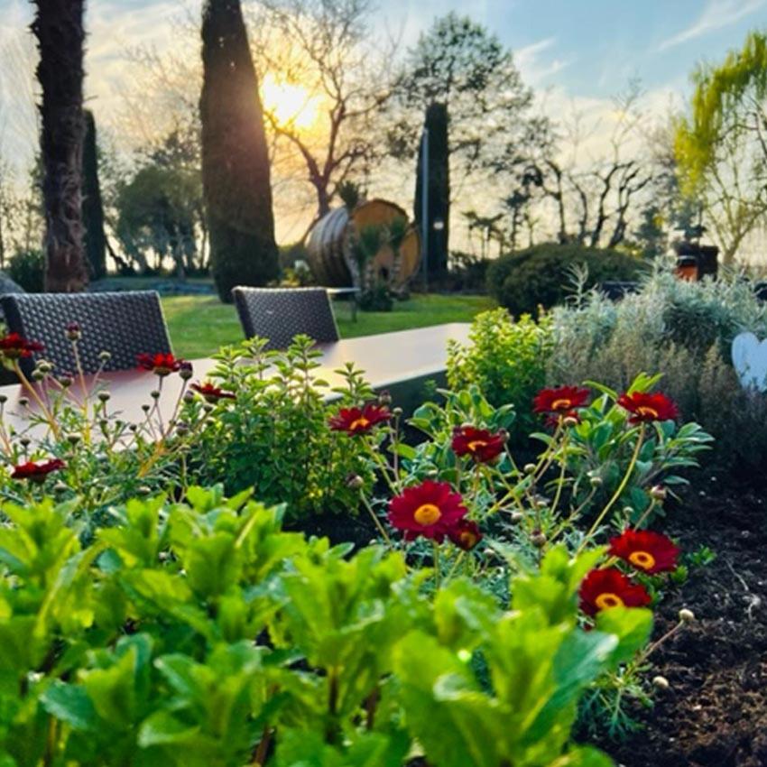 Agriturismo Le Fornase Villa Castelnuovo del Garda Exteriör bild